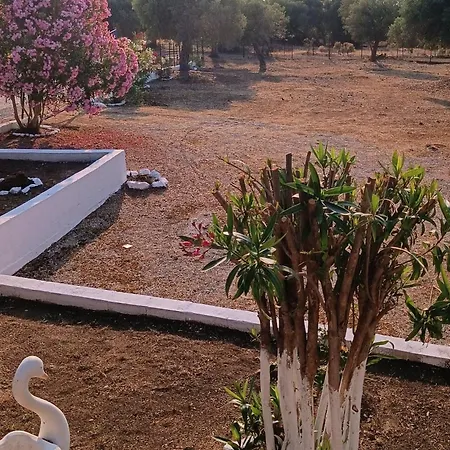 Kiriaki * Kallirakhi
