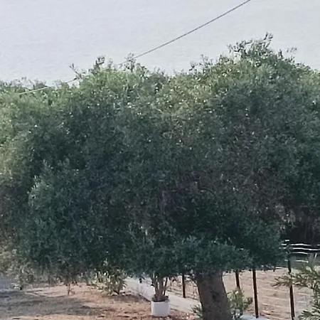 Villa Kiriaki Kallirakhi